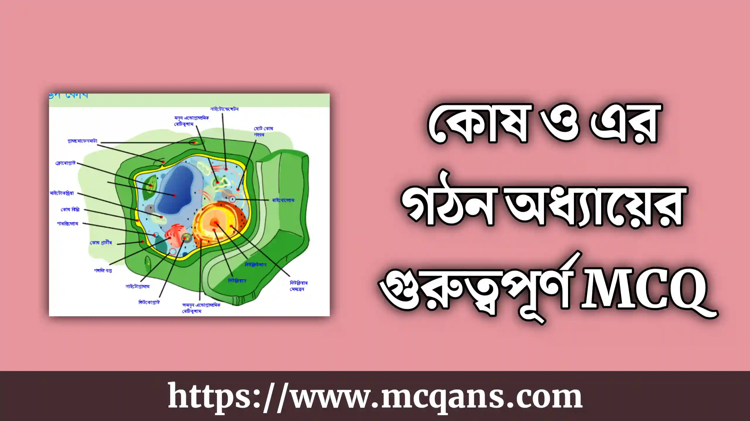 কোষ ও এর গঠন MCQ - hsc biology 1st paper chapter 1 mcq